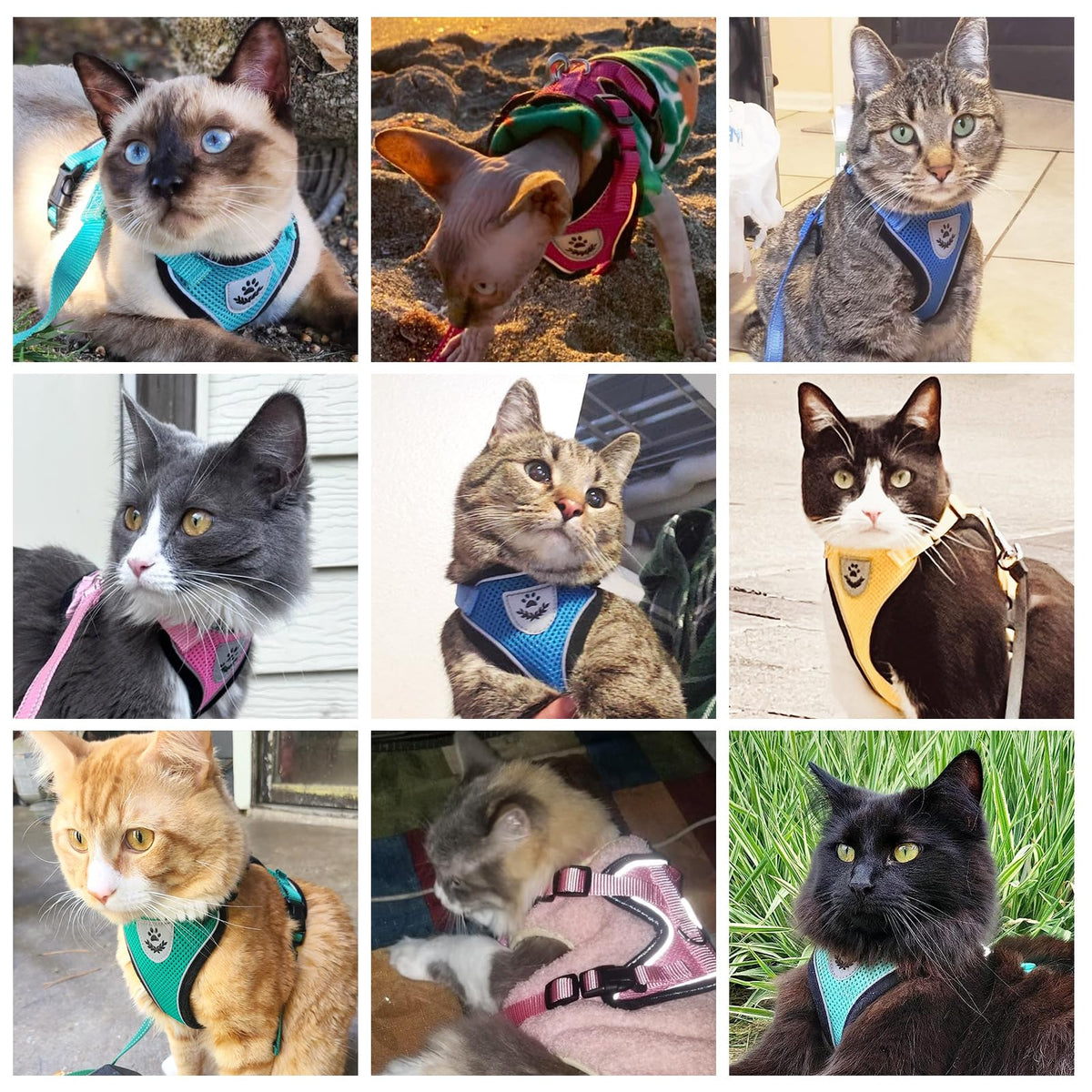 Cat Harness and Leash Set Escape Proof Reflective Cat Walking Harness Adjustable Soft Breathable Mesh Vest for Small Pets (XS (NECK 8.5", CHEST 11"-14") / Aquamarine)