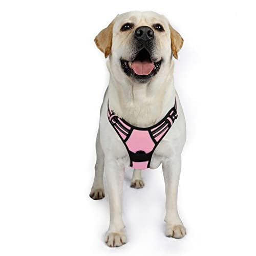 Dog Harness No Pull with 2 Leash Clips (X-Large / Pink)