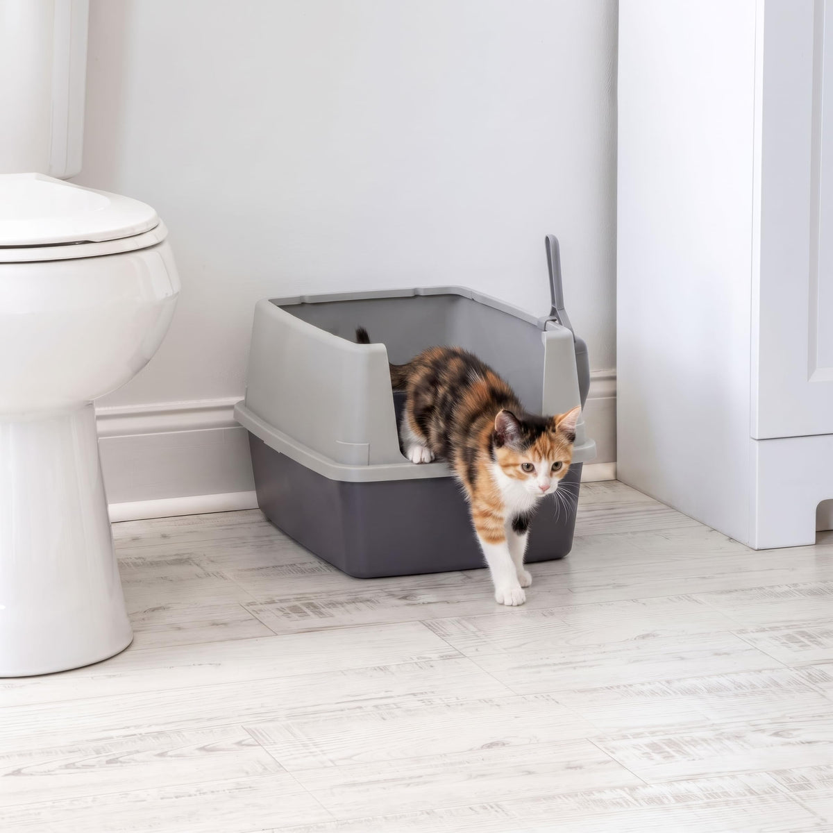 Cat Litter Box Small (Small / Gray)