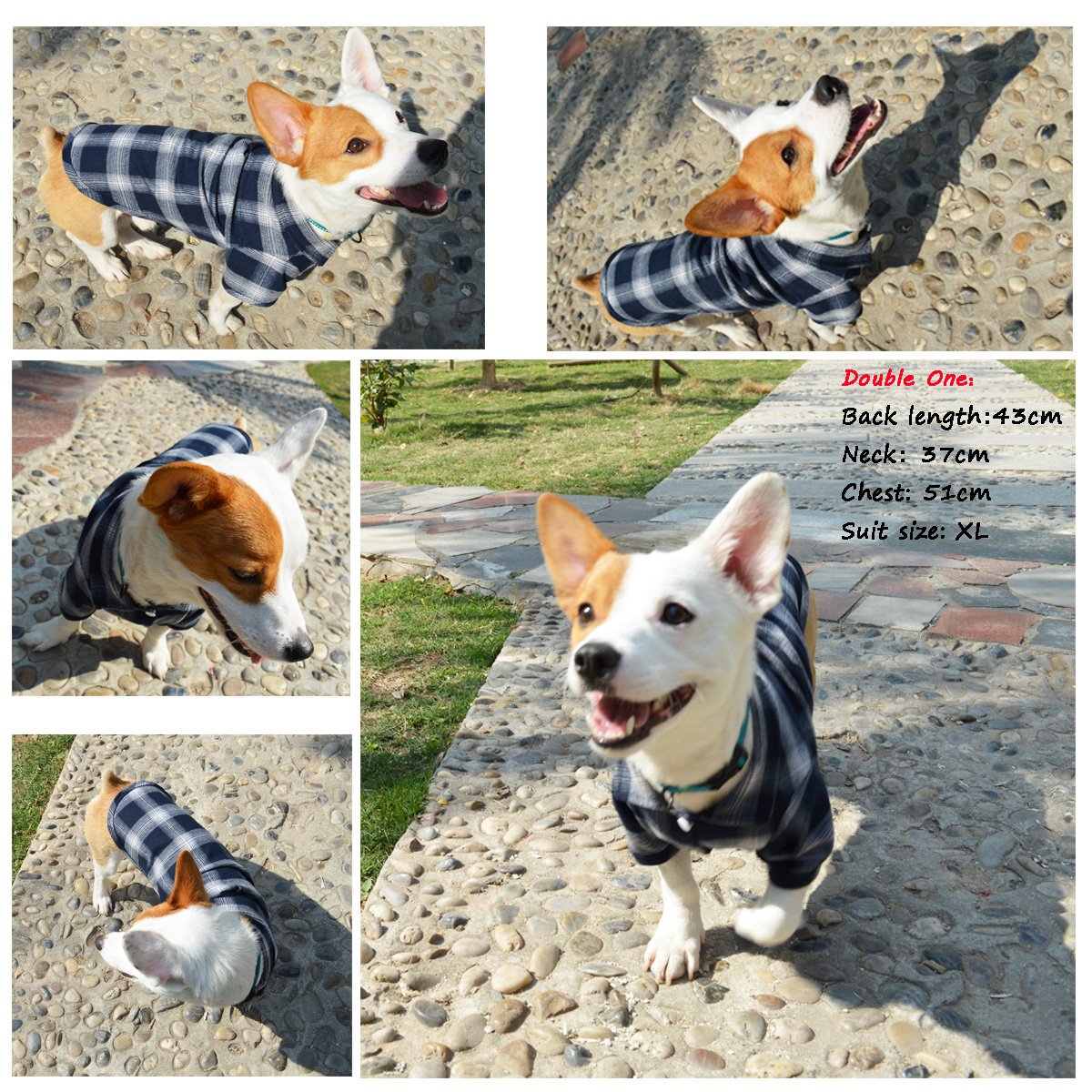 Dog Shirt Pet Plaid Clothes T (M-(6~9lb)-Chest~15.3" / Blue)