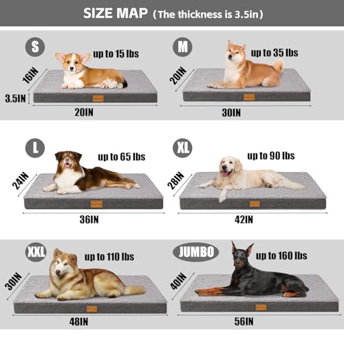 Orthopedic Medium Dog Bed Washable Pet Sofa Mat 30''X20'' Grey (30"L x 20"W x 3.5"Th / Grey)