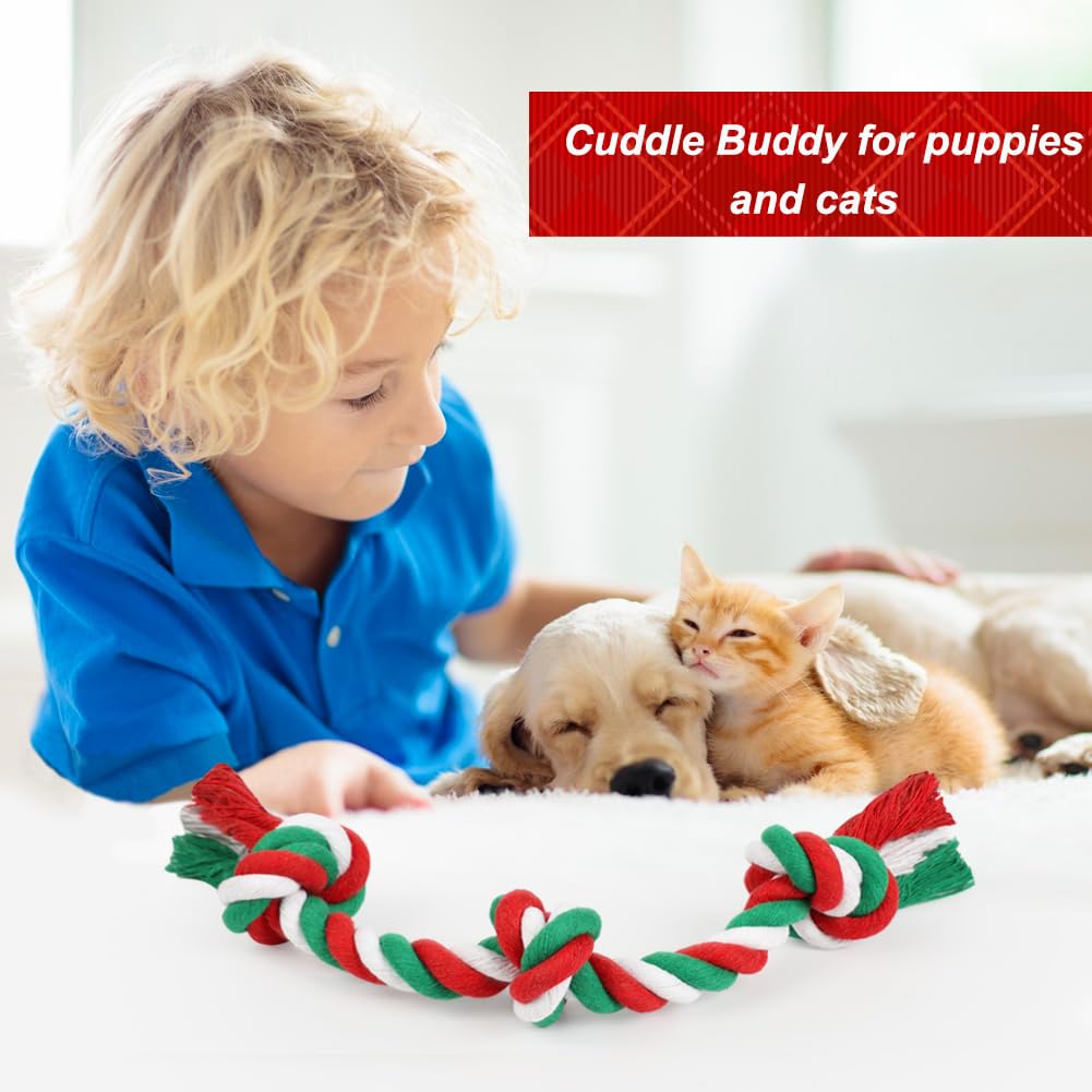 Christmas Dog Rope Toy (Small / Christmas)