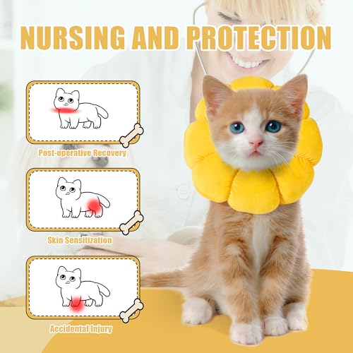 Soft Dog Cone for Dogs and Cats (M)