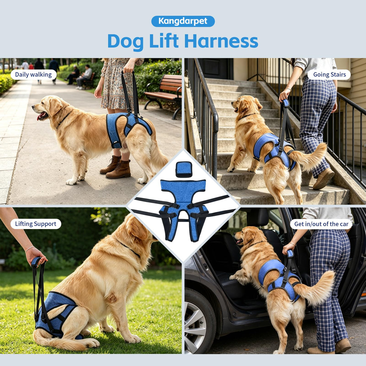 Dog Lift Harness (Blue / M(Waist:18-21",Weight:28-39lb))