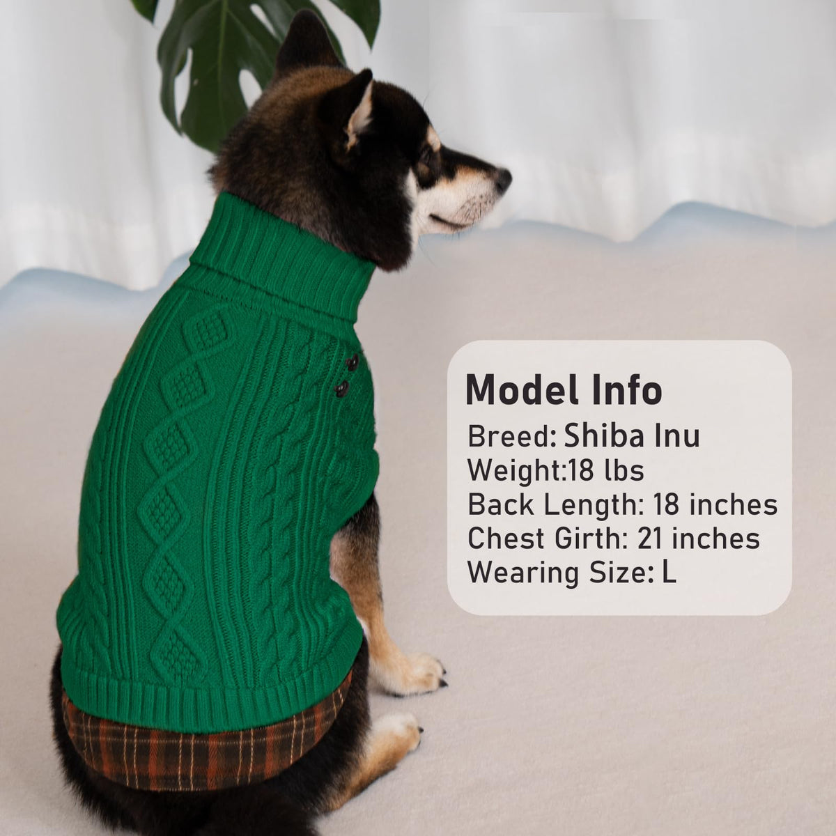 Dog Sweater for Small Dogs Turtleneck Thick Knit Pullover (Medium (7-13lbs) / 10# Green)