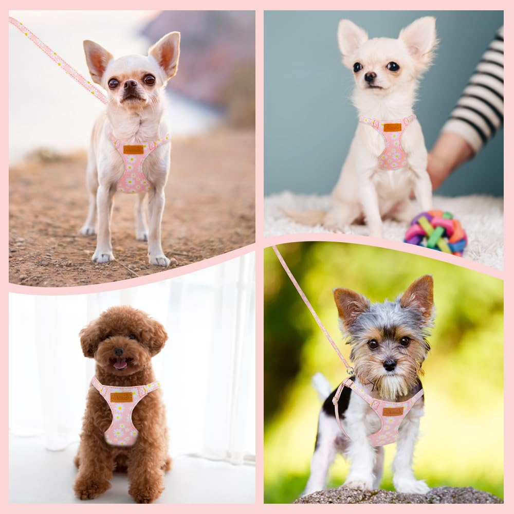 No Pull Dog Harness with Leash for Small Medium Dogs (Small(11-17.5lb) / Pink Daisy)