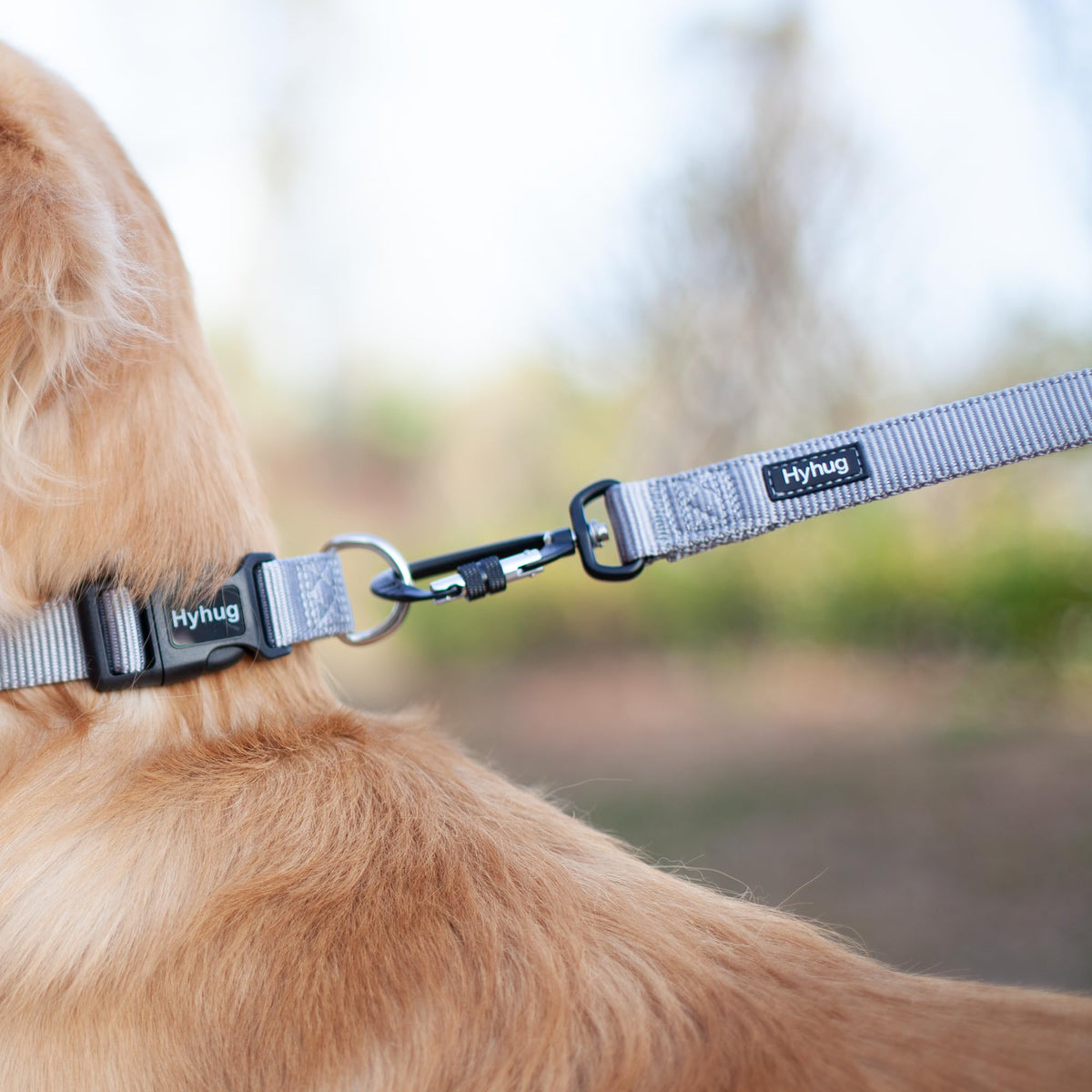 Short Dog Leash 18" (Sleet Gray / 18 Inches)
