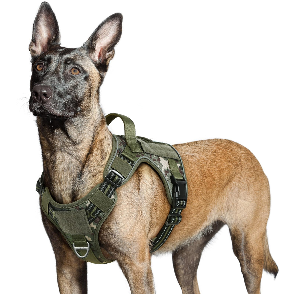 Tactical Dog Harness for Large (Green Desert / Large)