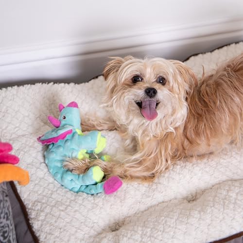 Dinos Frills Squeaky Plush Dog Toy with Chew Guard Technology (Dinos Frills (Teal) / Small)