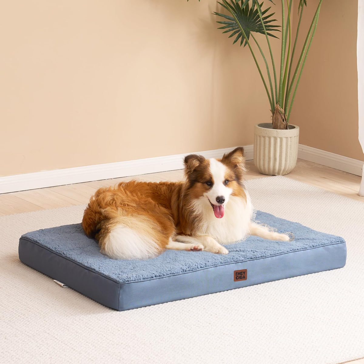 Orthopedic Dog Bed Large with Removable Washable Cover (36*27*3.5 inches / Spa Blue)