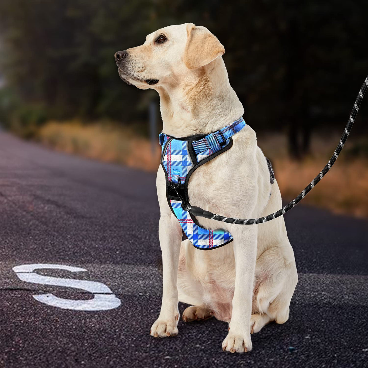 No Pull Dog Harness for Medium Dogs (Checkered Blue / Medium)