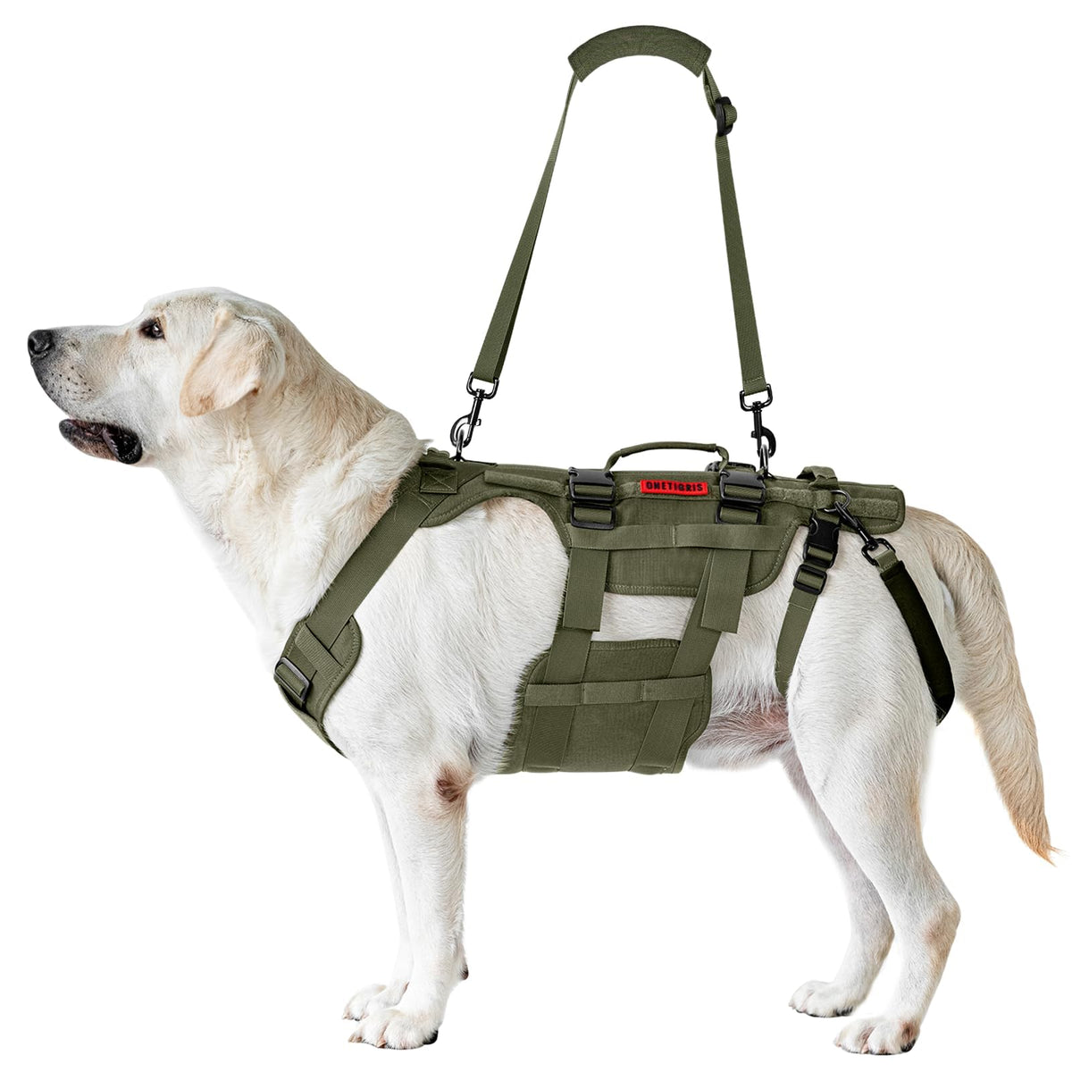 Dog Lift Harness for Large Dogs (Green / L)