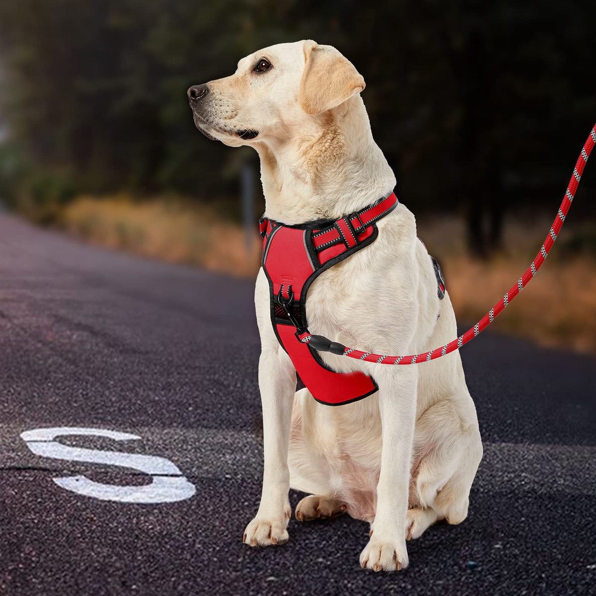 No Pull Dog Harness for Medium Dogs (Red / Medium)
