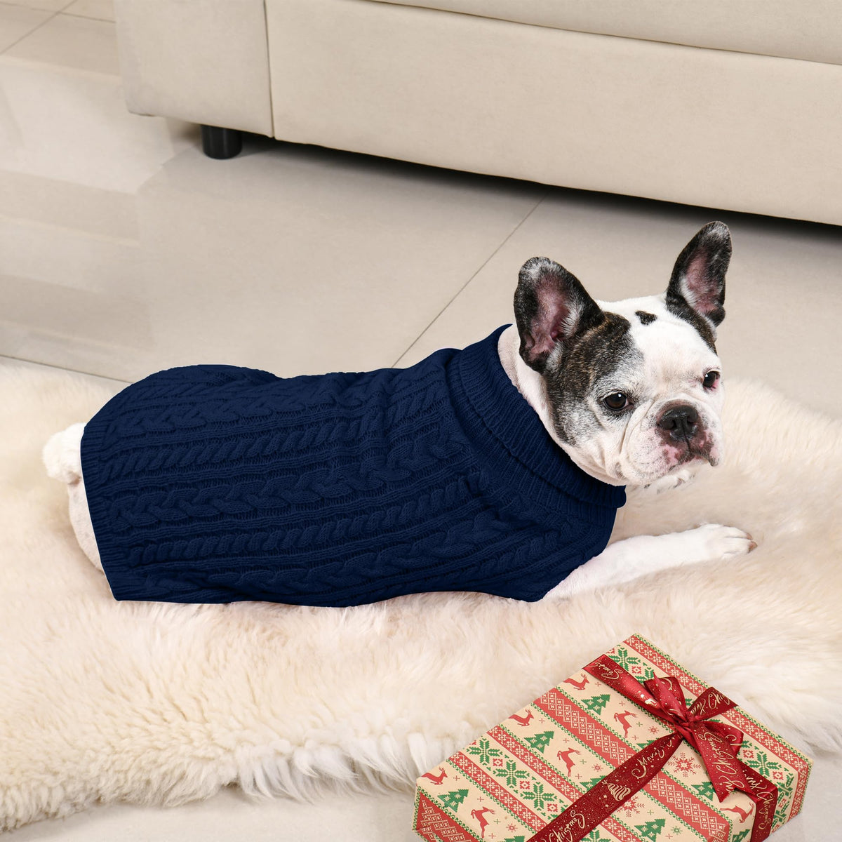 Dog Sweater 2 Pack for Medium Dogs (Navy & Blue / Large)