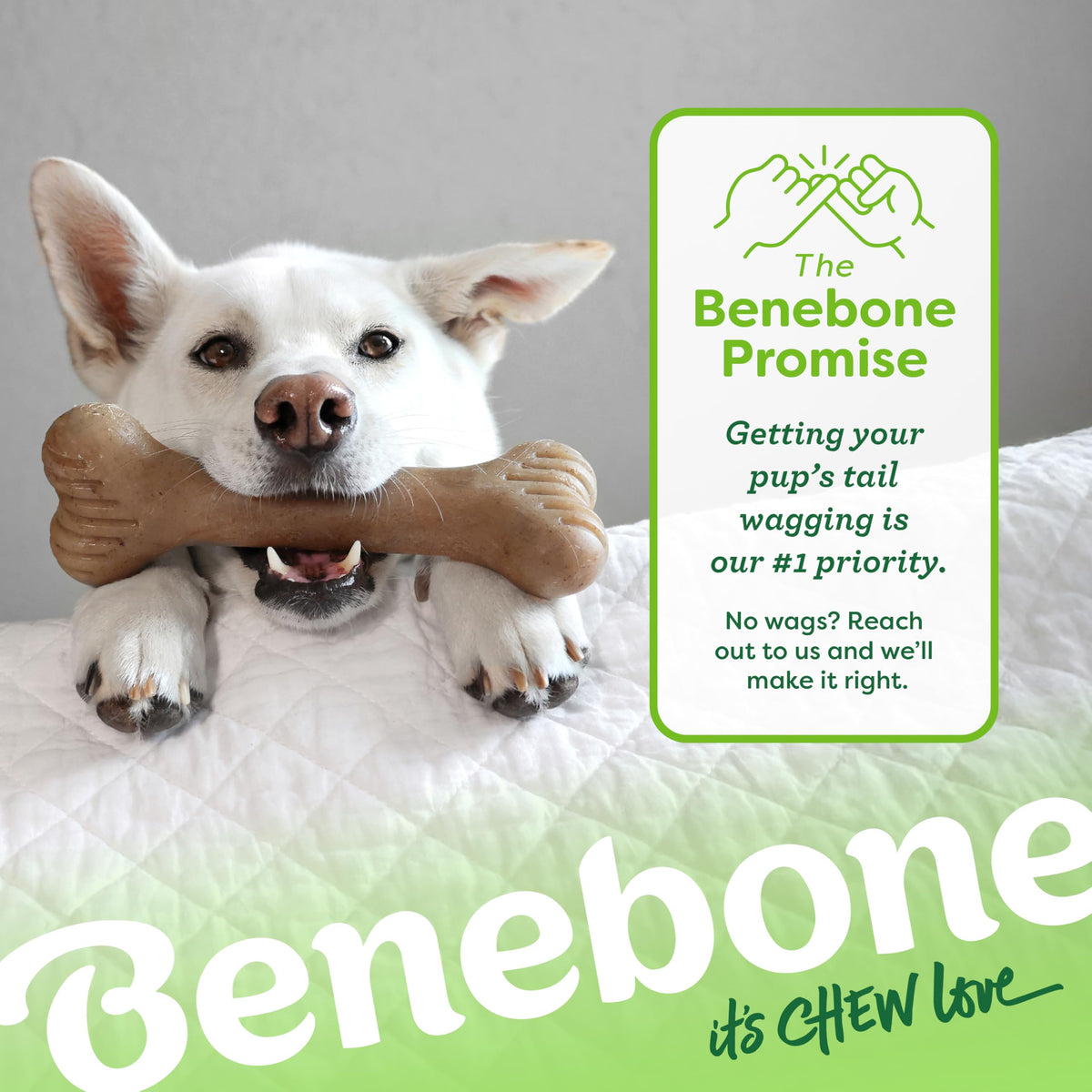Bone Dog Chew Toy for Aggressive Chewers (REAL Bacon / Medium)
