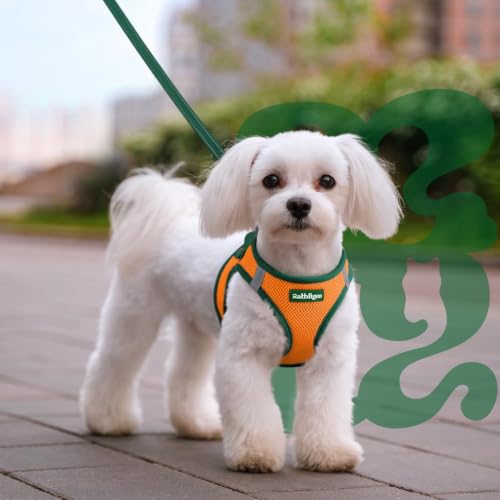 Dog Harness Small Sized and Leash Set (Orange & Dark Green / M (Chest: 16.0"-18.5"))