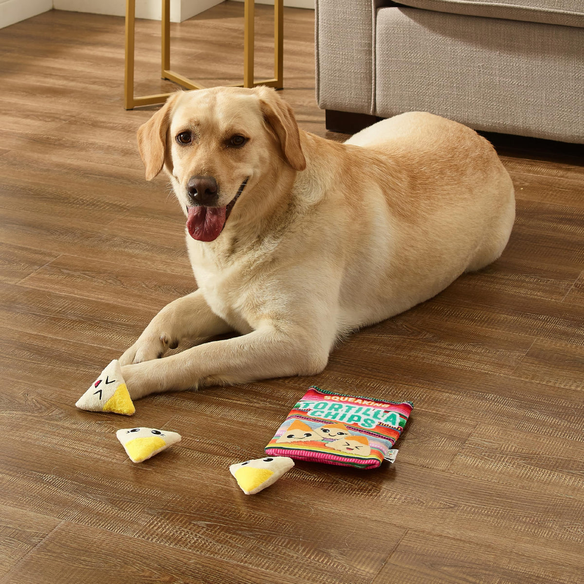 Snack Bag Tortilla Chips Puzzle Squeaky Dog Toys