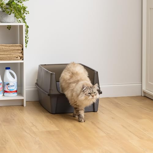 XX Large High Sided Cat Litter Box (XXL / Gray)