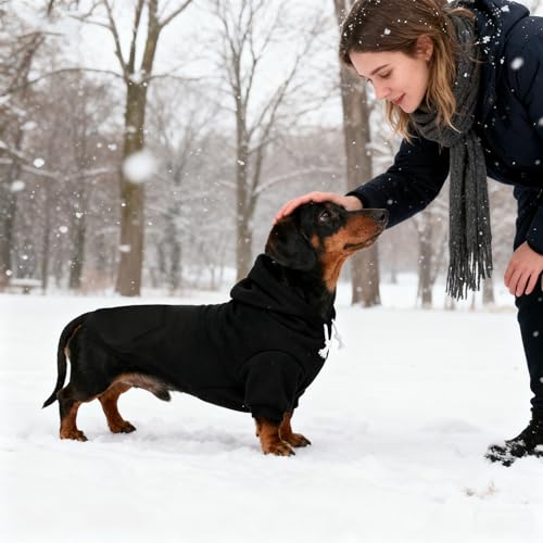 Dachshund Dog Hoodie (Dachshund Black / Small)