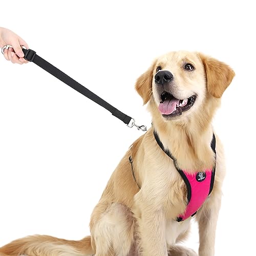 Dog Seat Belt Vest Harness for Car (Magenta / XL (Chest: 24.4-34.7", Neck: 18.9-29.1"))