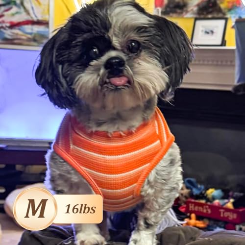 2Pack Waffle Dog Shirt for Small Dogs Striped Dog Sweater Tank Top (Medium (7-11lbs) / 2Pack(orange+Striped))