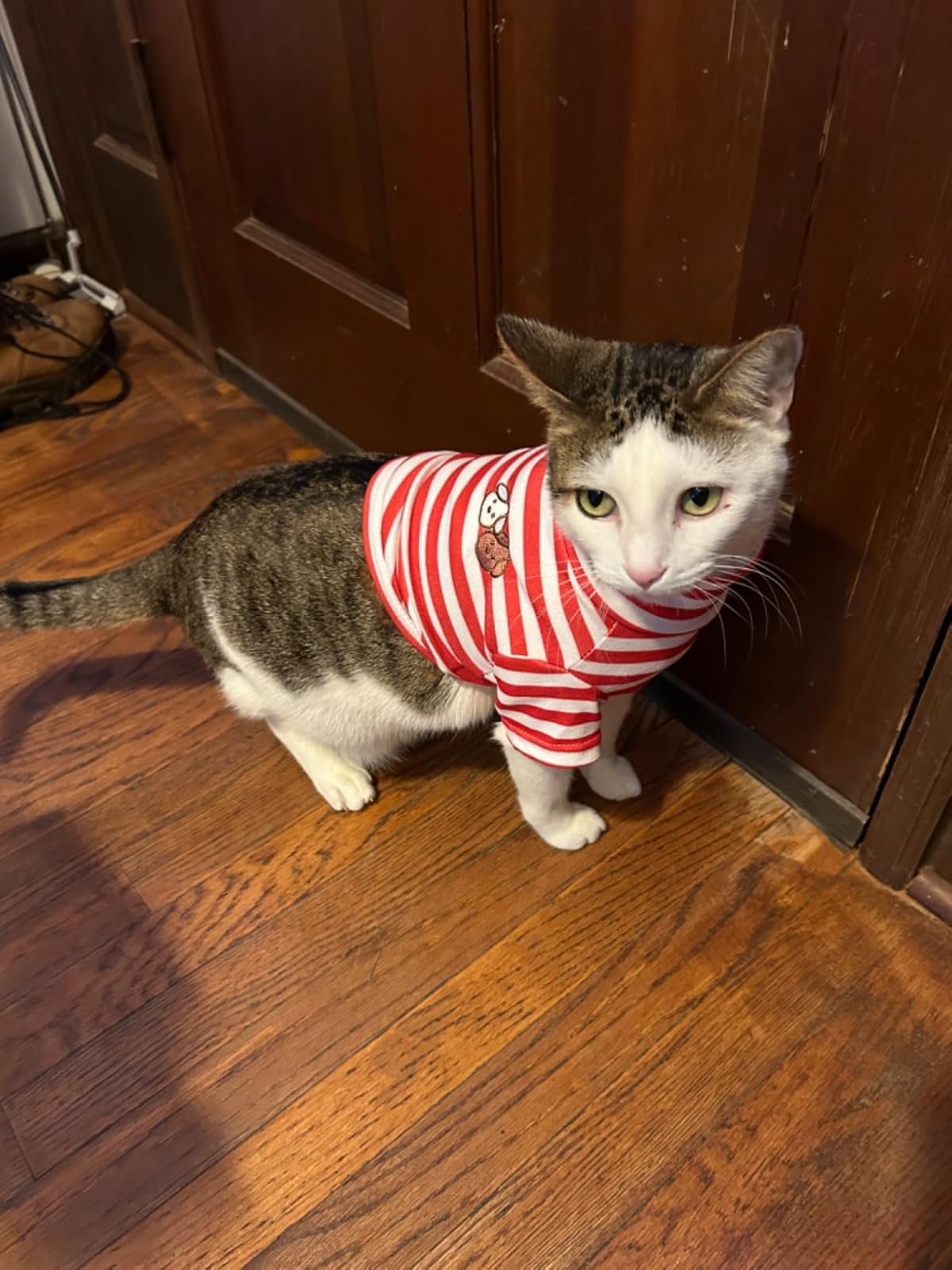 Turtleneck Dog Shirt Cute Doggie Embroidery Super Soft Dog Sweatshirt Stretchy Striped Puppy Pullover for Cats Small Medium Large Dogs (Red Striped / X-Small)