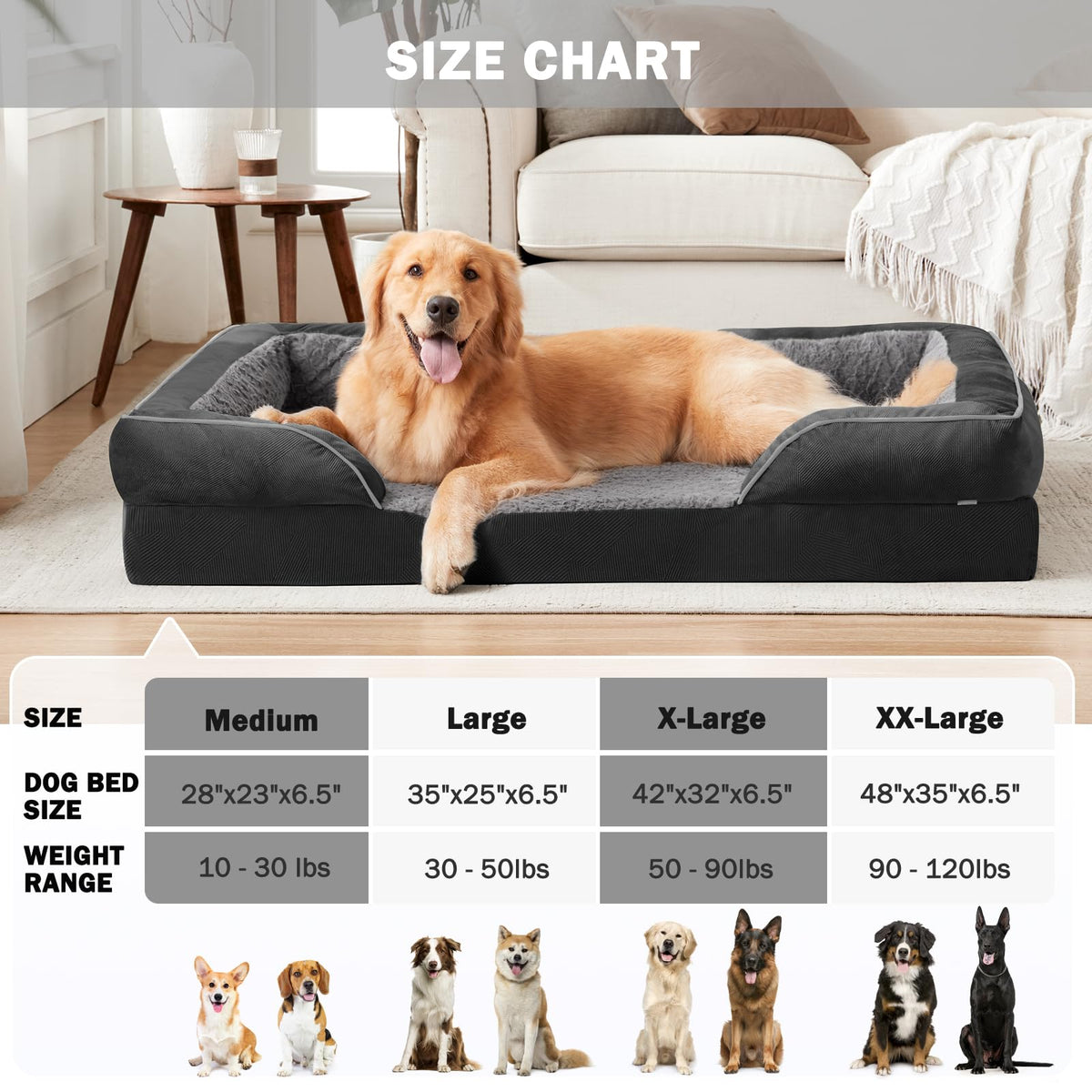 Orthopedic Dog Bed for Large Dogs (Black / L (35"x 25"x 6.5"))