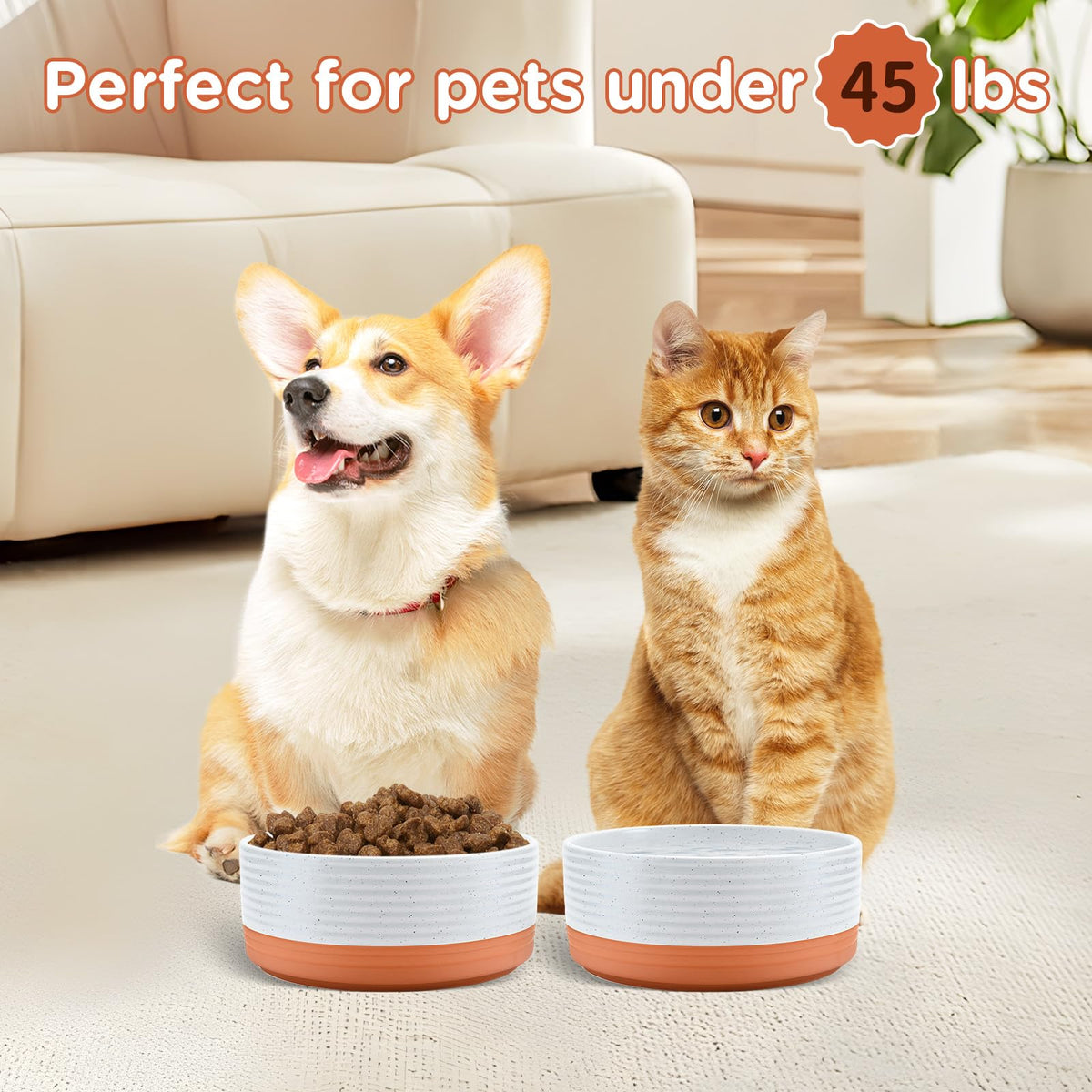 Ceramic Dog and Cat Bowls 2 Pack (6.1 in - 3.6 cups / Pattern White - Only Bowls*2)