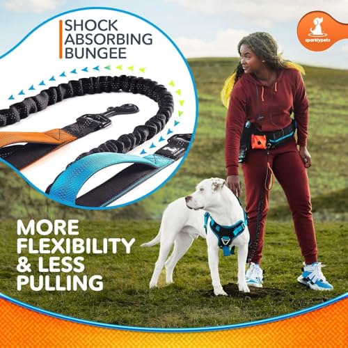 Active Pack Hands Free 2 Dogs Leash (Active Premium Brown Pack / 2 dogs M/L)
