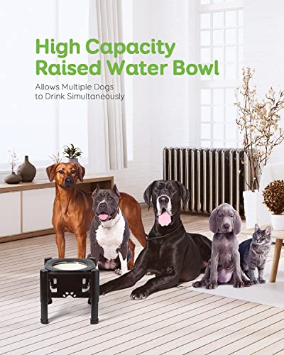 Elevated Dog Bowls (Black)