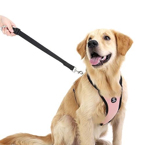 Dog Seat Belt Vest Harness for Car (Pink / M (Chest: 19.7-26.4", Neck: 12.6-20.5"))