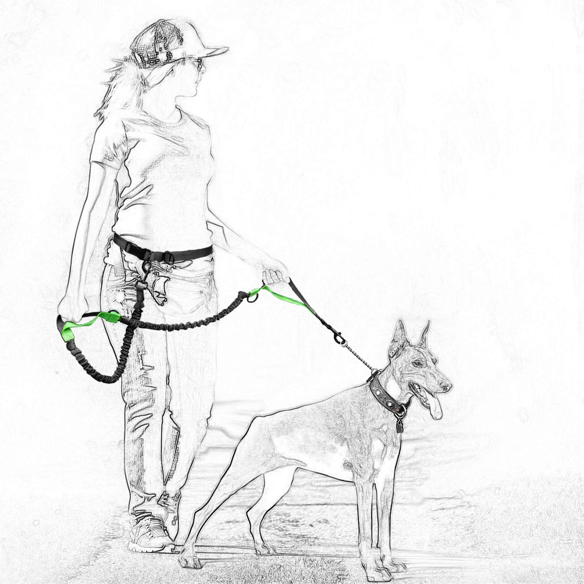Hands Free Leash (Black Hot Pink / 7FT Hands Free)