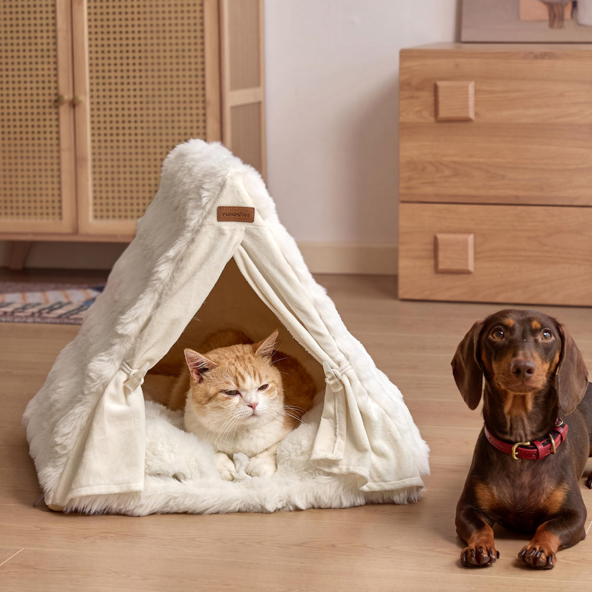 Cat Cave Bed Sturdy Frame Washable Cat Tent Bed with Curtain (Cream / 20"L x 20"W x 17"Th)