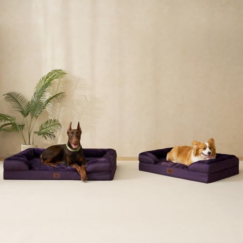 Orthopedic XXL Dog Bed (Purple / 46.0"l X 35.0"w X 7.5"th)