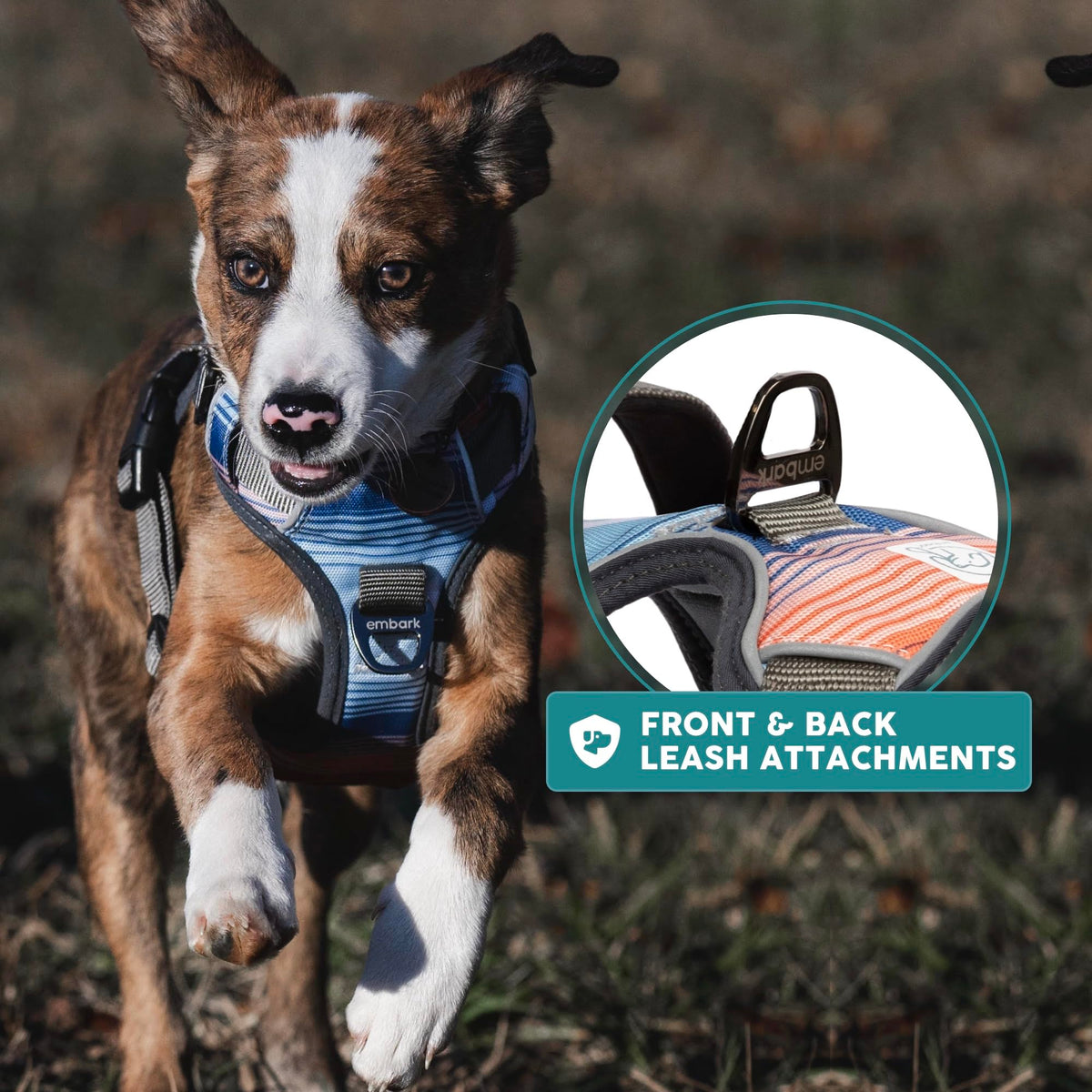 Embark No Pull Dog Harness (XS / Santa Monica)