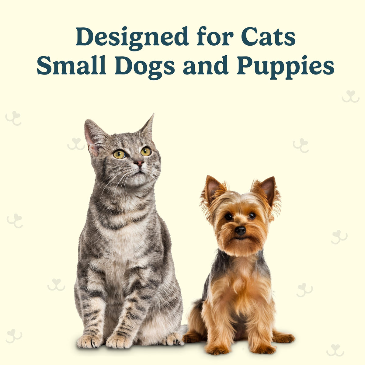 Microbrush Cat Toothbrush (Replacement Heads)