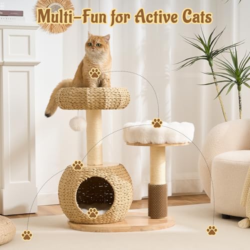 Modern Cat Tree for Indoor Small & Medium Cats (Natural w/ Bed-30")