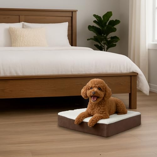 Orthopedic Dog Bed (Brown / Small)