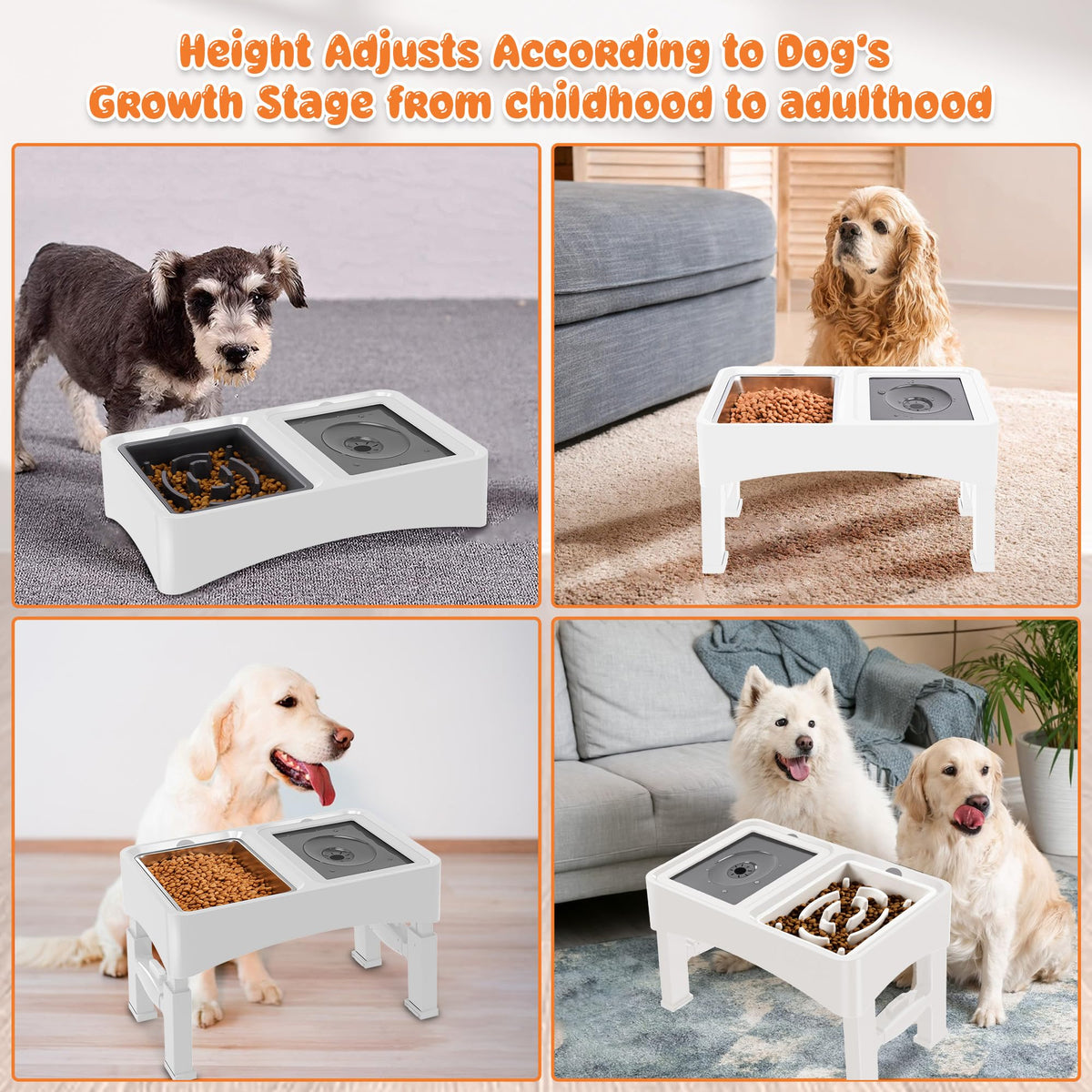 3-in-1 Elevated Dog Bowls with 4 Height Adjustable Raised Stand (White / 3-in-1 Dog Bowls Set)