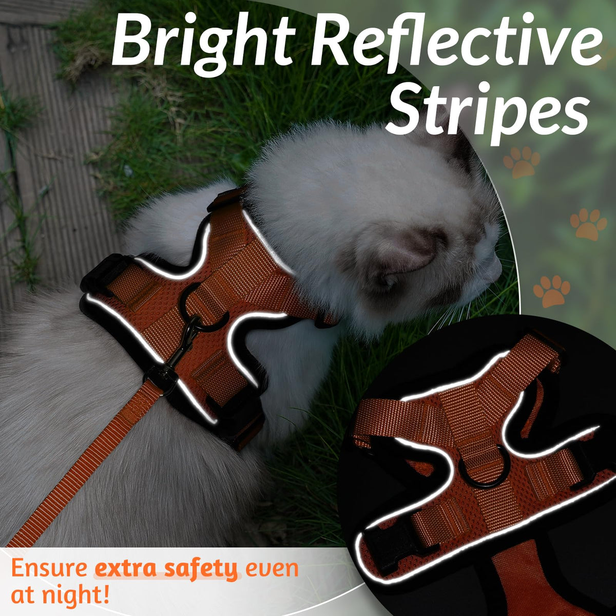 Cat Harness and Leash Set (Xs / Orange)