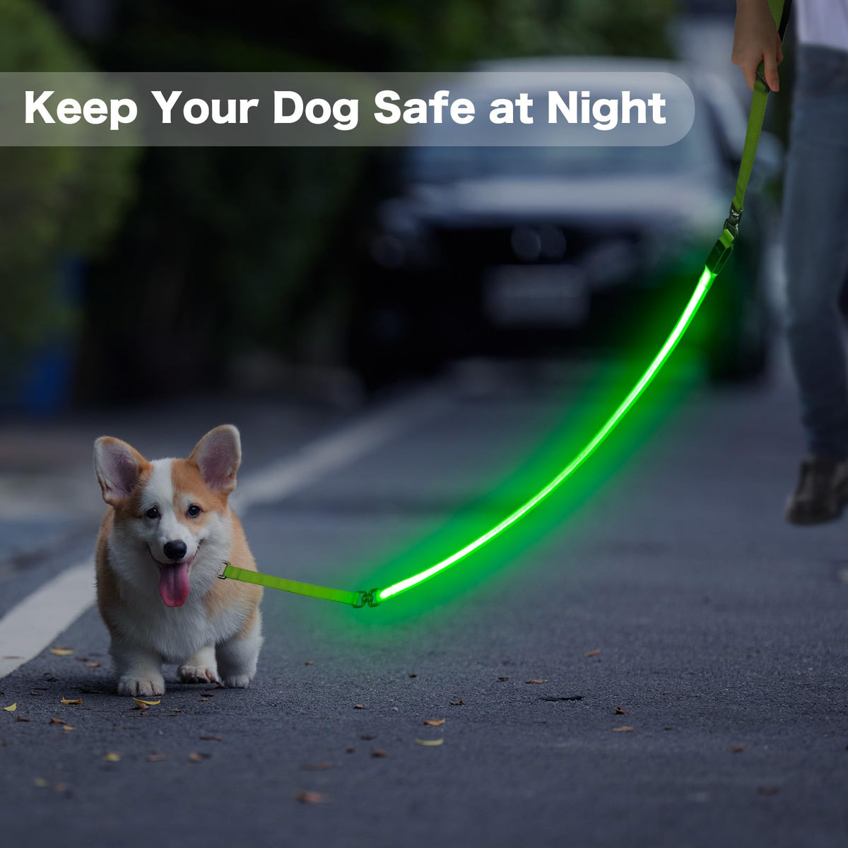 LED Light Up Dog Leash (Green / 6Ft(Three-section))