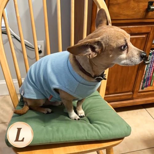 2Pack Waffle Dog Shirt for Small Dogs Soft Dog Sweater Tank Top (Large (12-18lbs) / 2Pack(Blue+Grey))