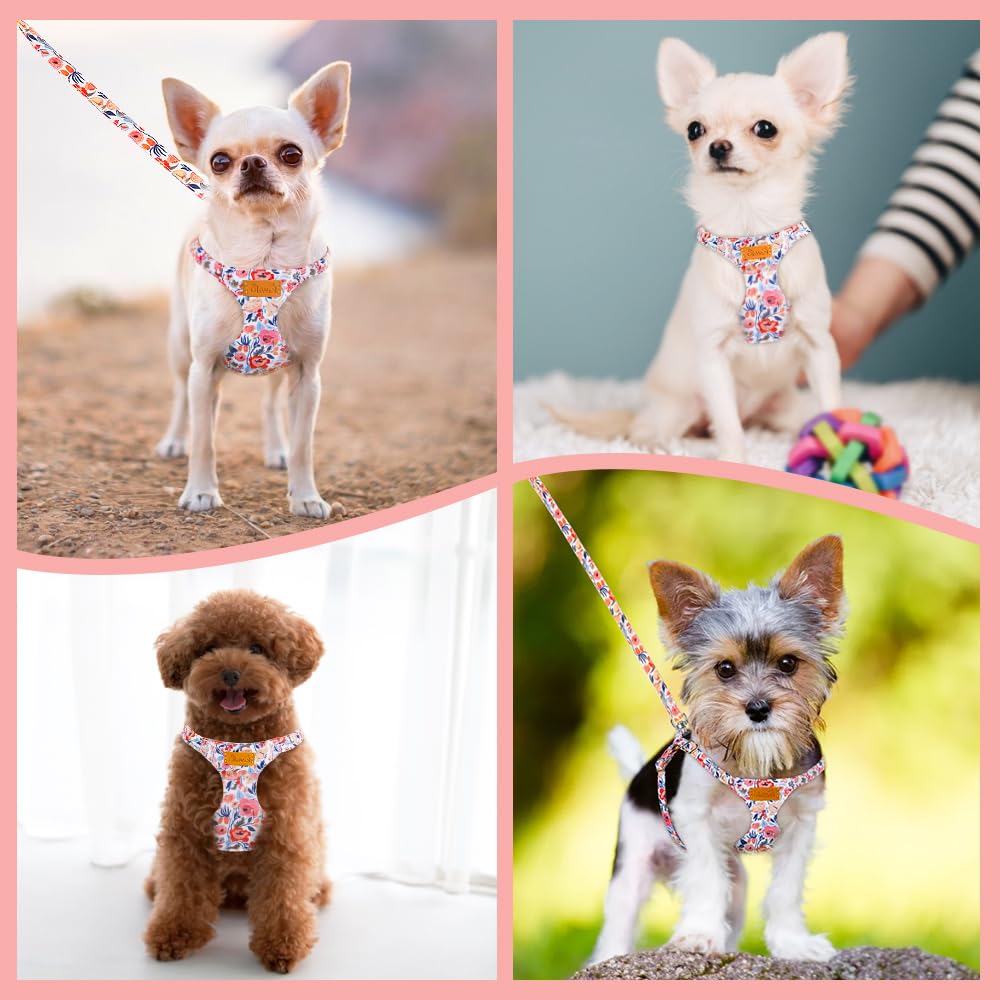 No Pull Dog Harness with Leash for Small Medium Dogs (Medium(18-31lb) / Flower)