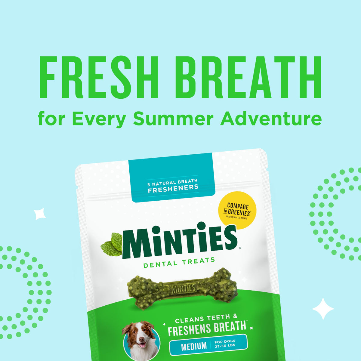 Mint Dental Chews for Dogs (Medium Dogs - 48oz)