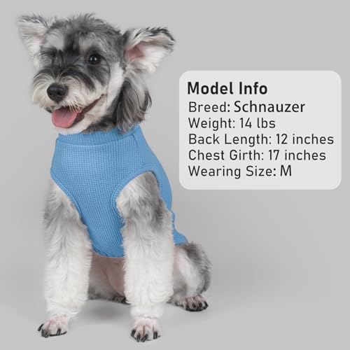 2Pack Waffle Dog Shirt for Large Dogs Striped Dog Sweater Tank Top (XXX-Large (55-75lbs) / 2Pack(Blue+Striped))