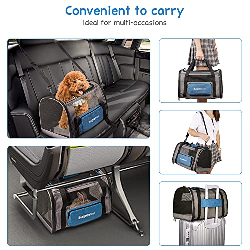 Cat Carrier Soft (Blue / 17.5"L x 11.0"W x 11.0"H)