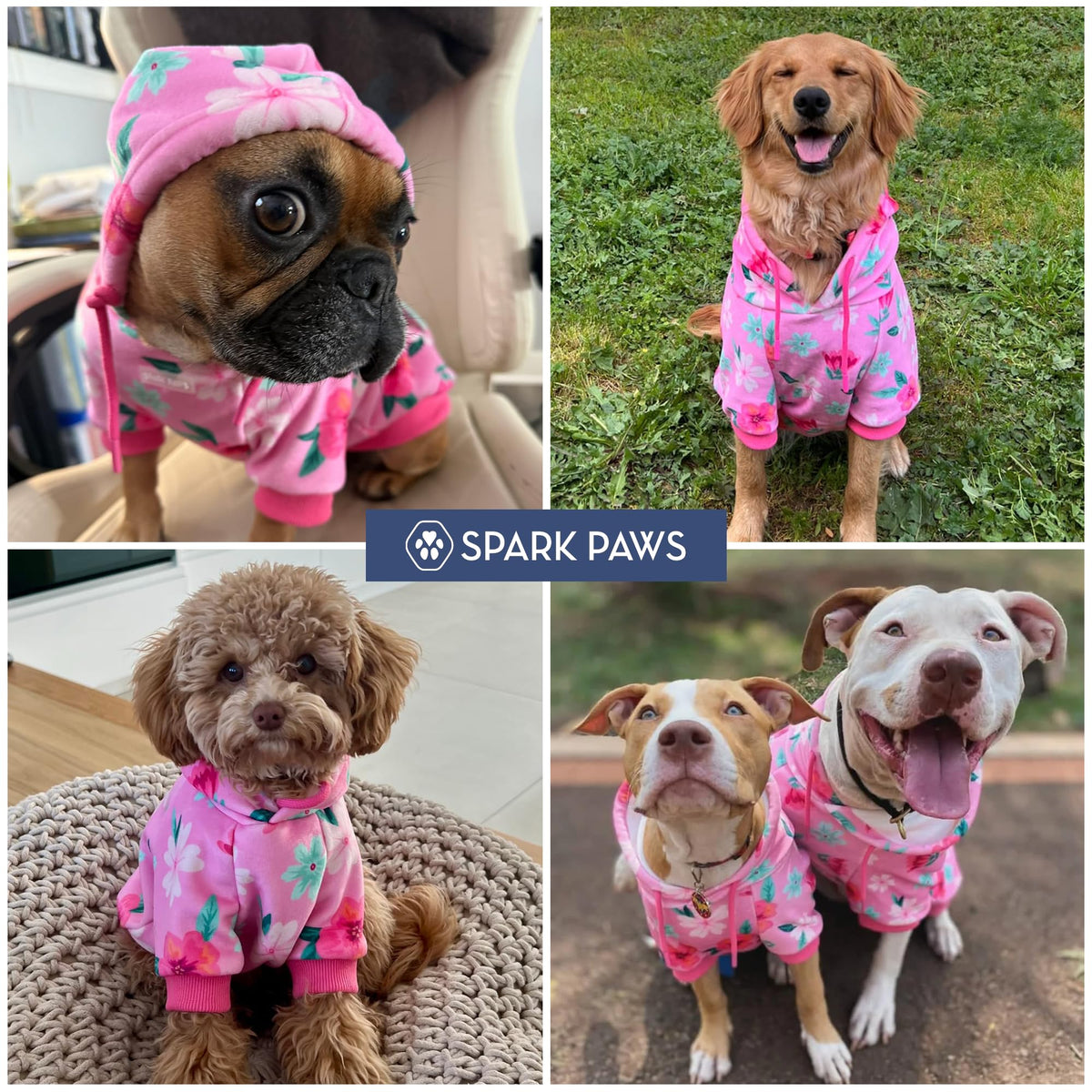 Dog Hoodie Buttery (Blossom / Small)