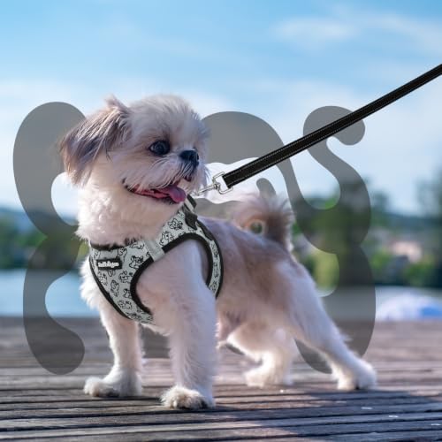 Dog Harness Small Sized and Leash Set (Grey Pups / XS (Chest: 13.3"-15.5"))