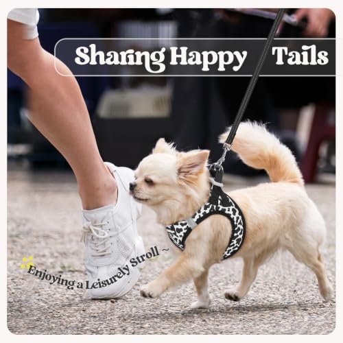 Dog Harness Small Sized and Leash Set (Black White Cow / Xs (chest: 13.3 - 15.5"))