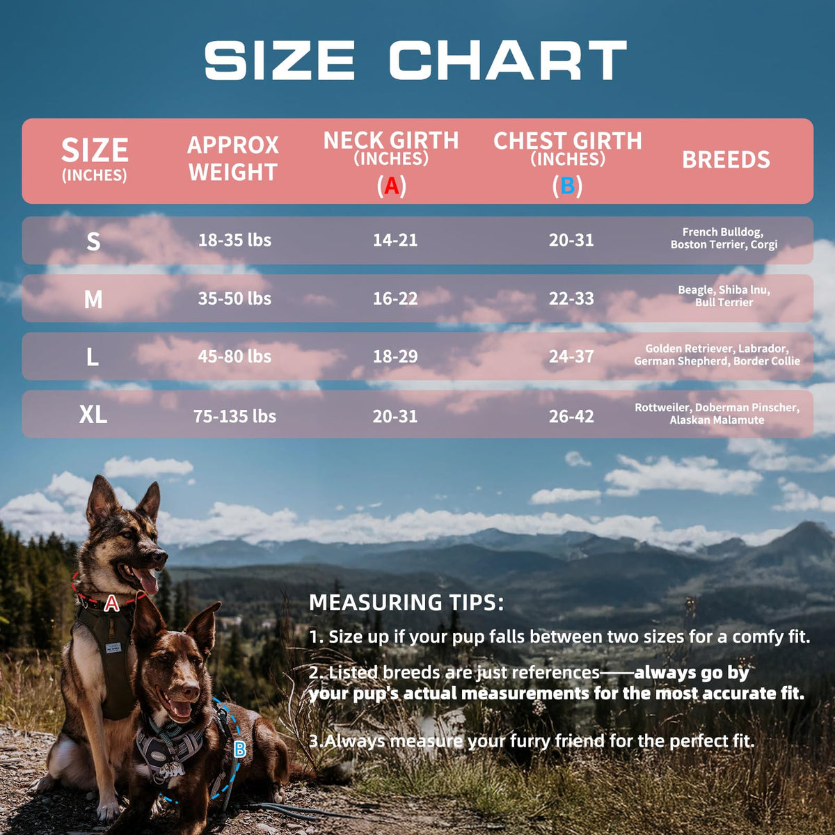Tactical Dog Harness Medium Sized Dog No Pull Adjustable Dog Vest (Rose Red / M(Neck:16-22",Chest:22-33"),35-50 lbs)